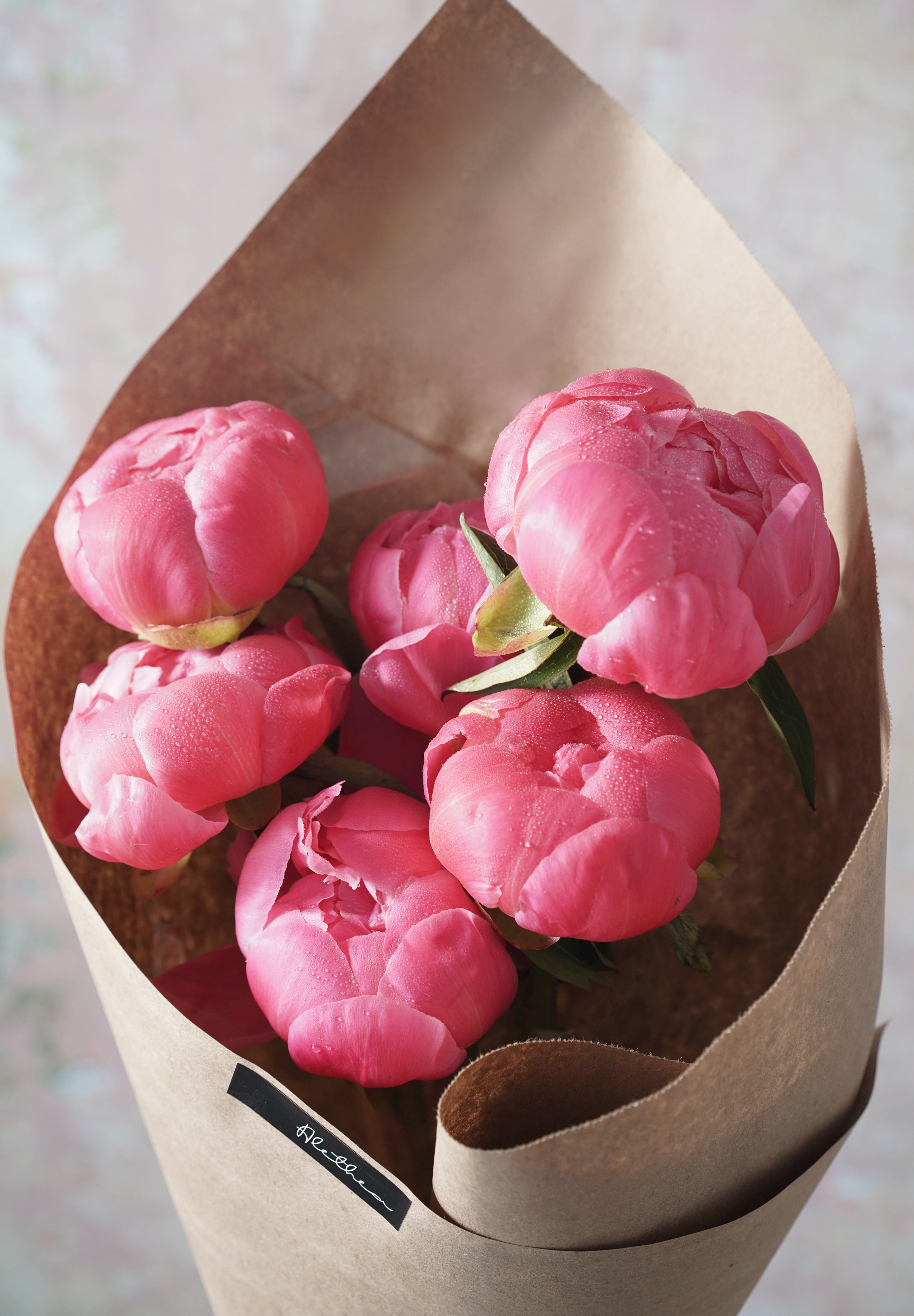 Blushing Peonies-2025 Mother’s Day