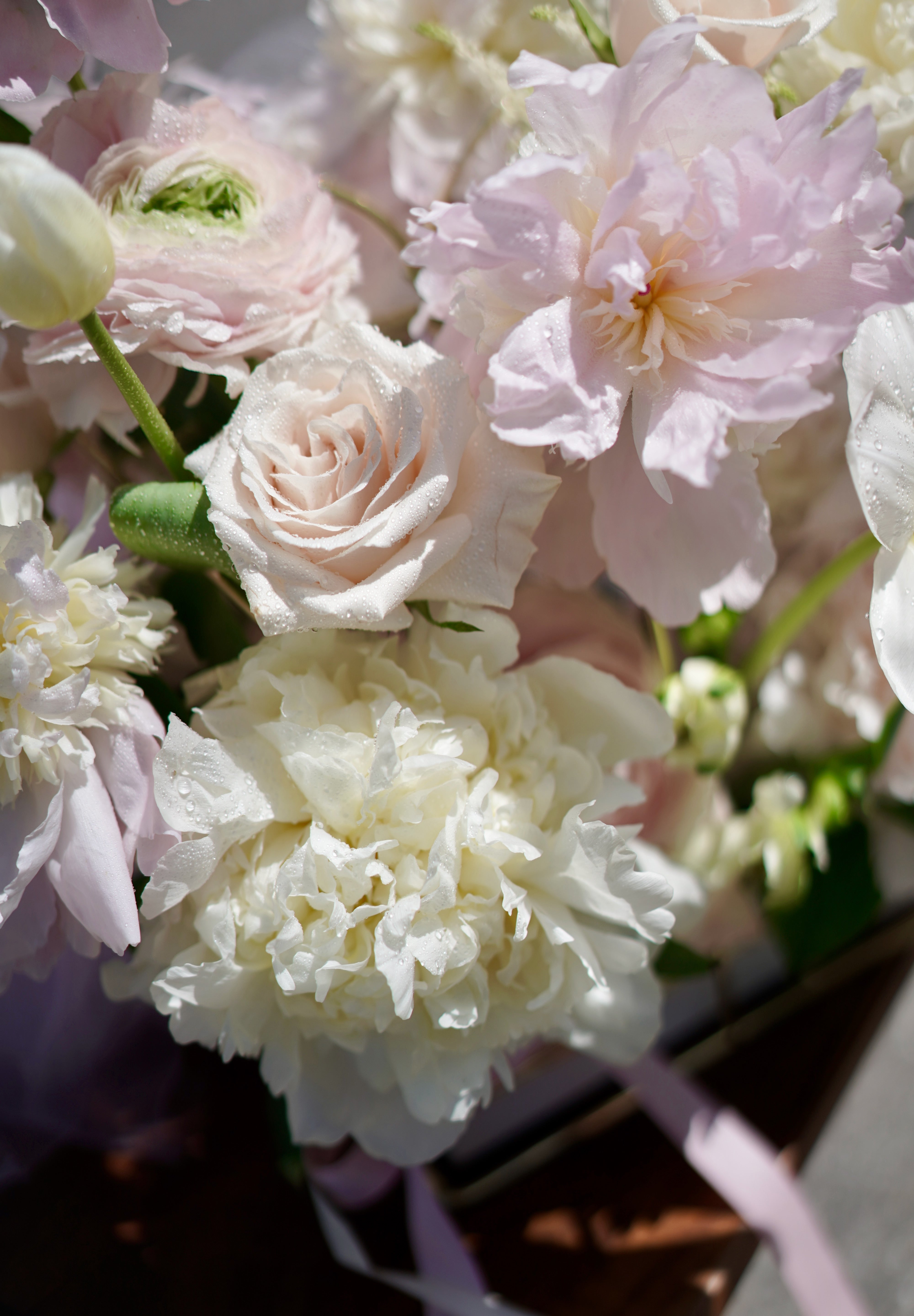 Vernal Blooms 春日花海