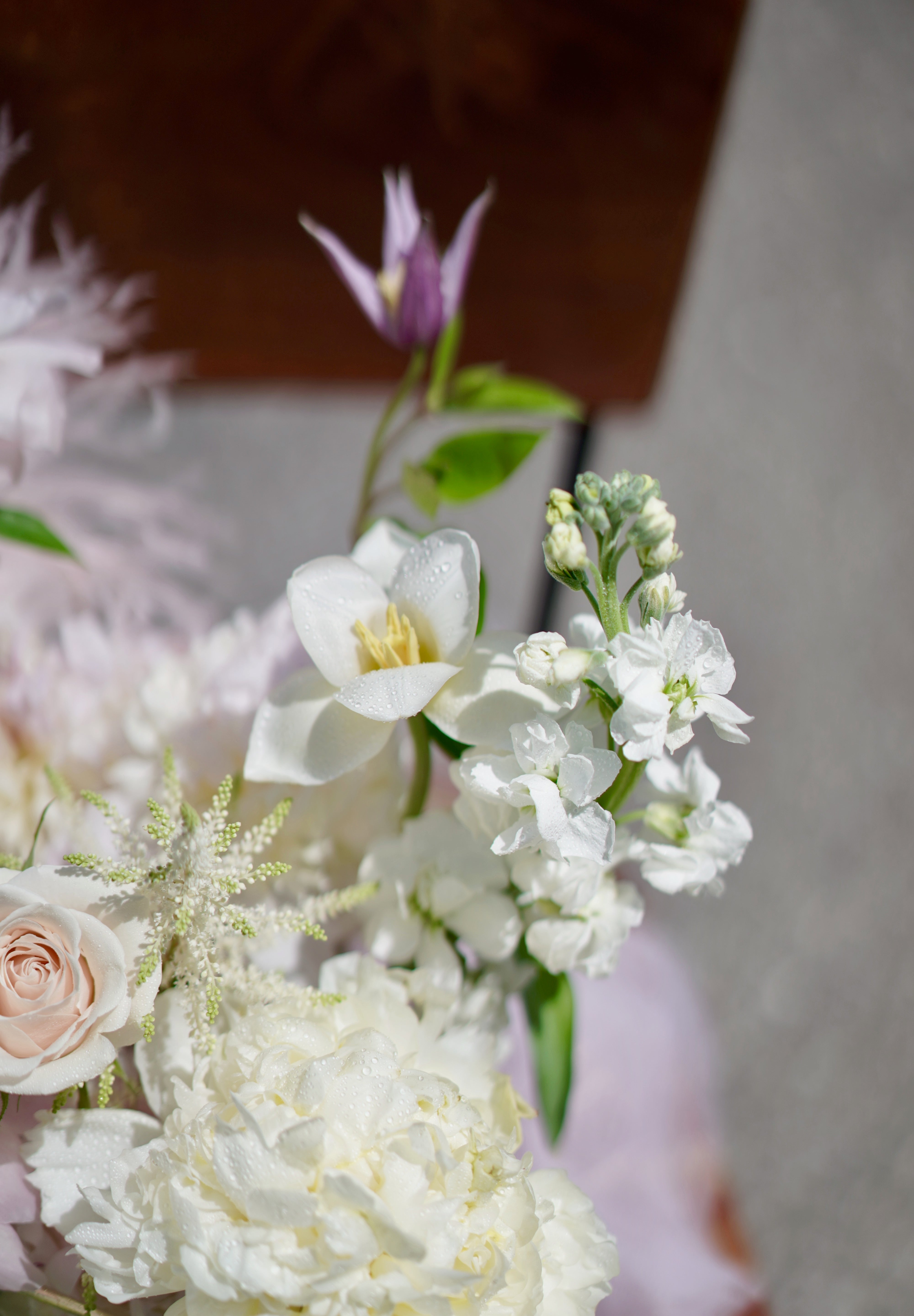 Vernal Blooms 春日花海