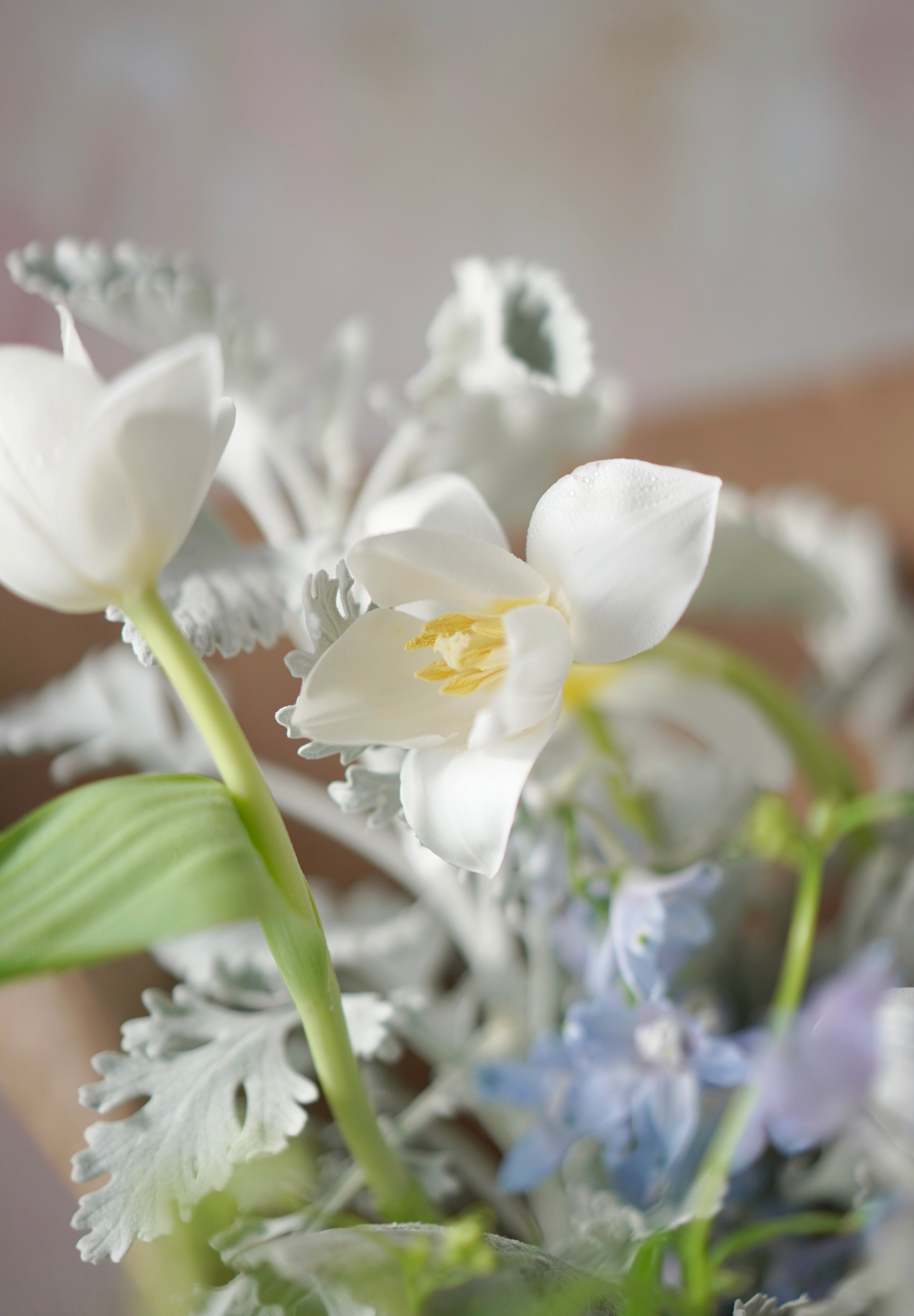 Whispering Grace-2025 Mother’s Day