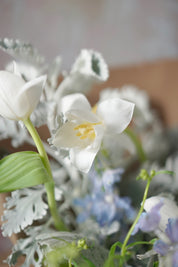 Whispering Grace-2025 Mother’s Day