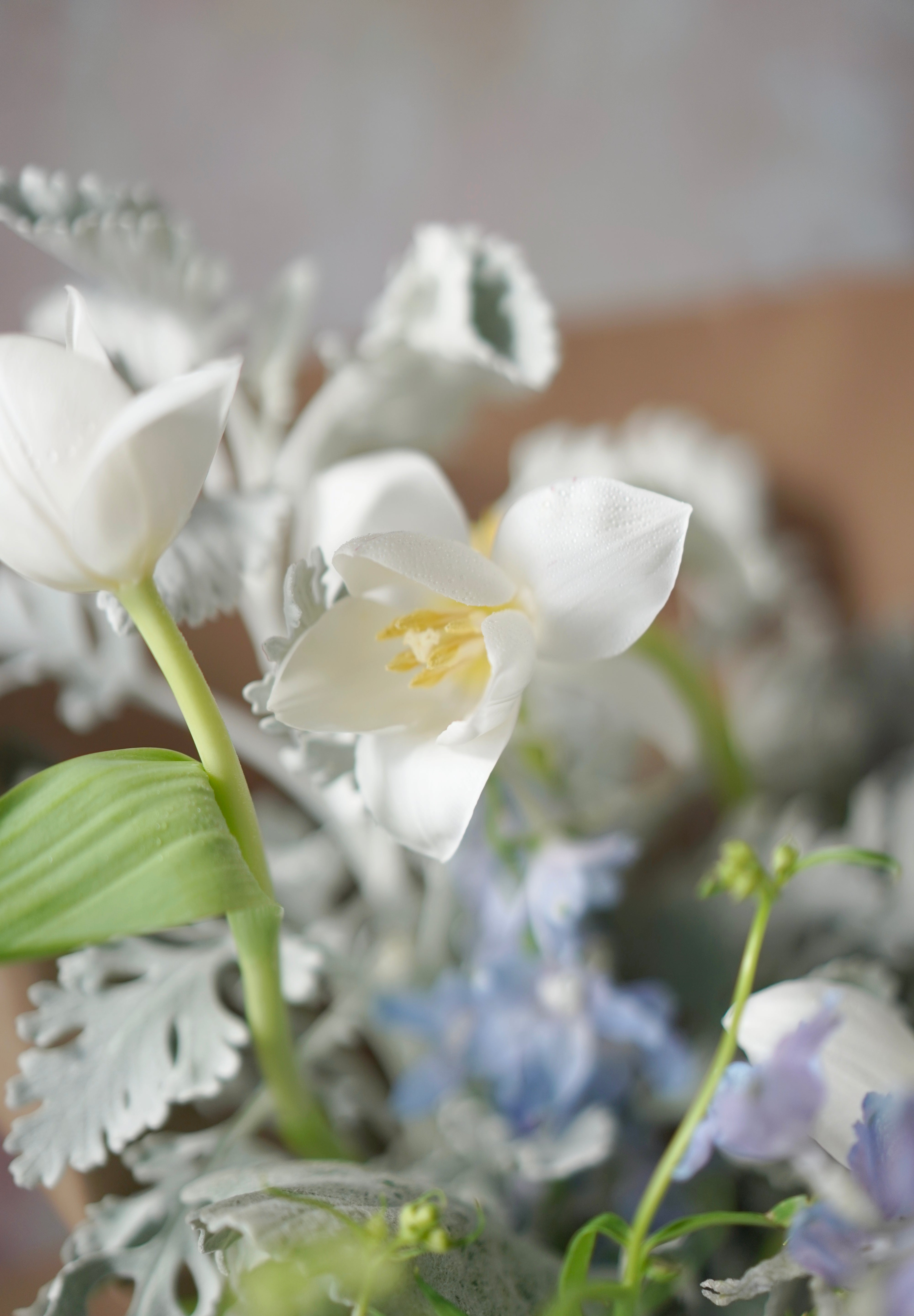 Whispering Grace-2025 Mother’s Day