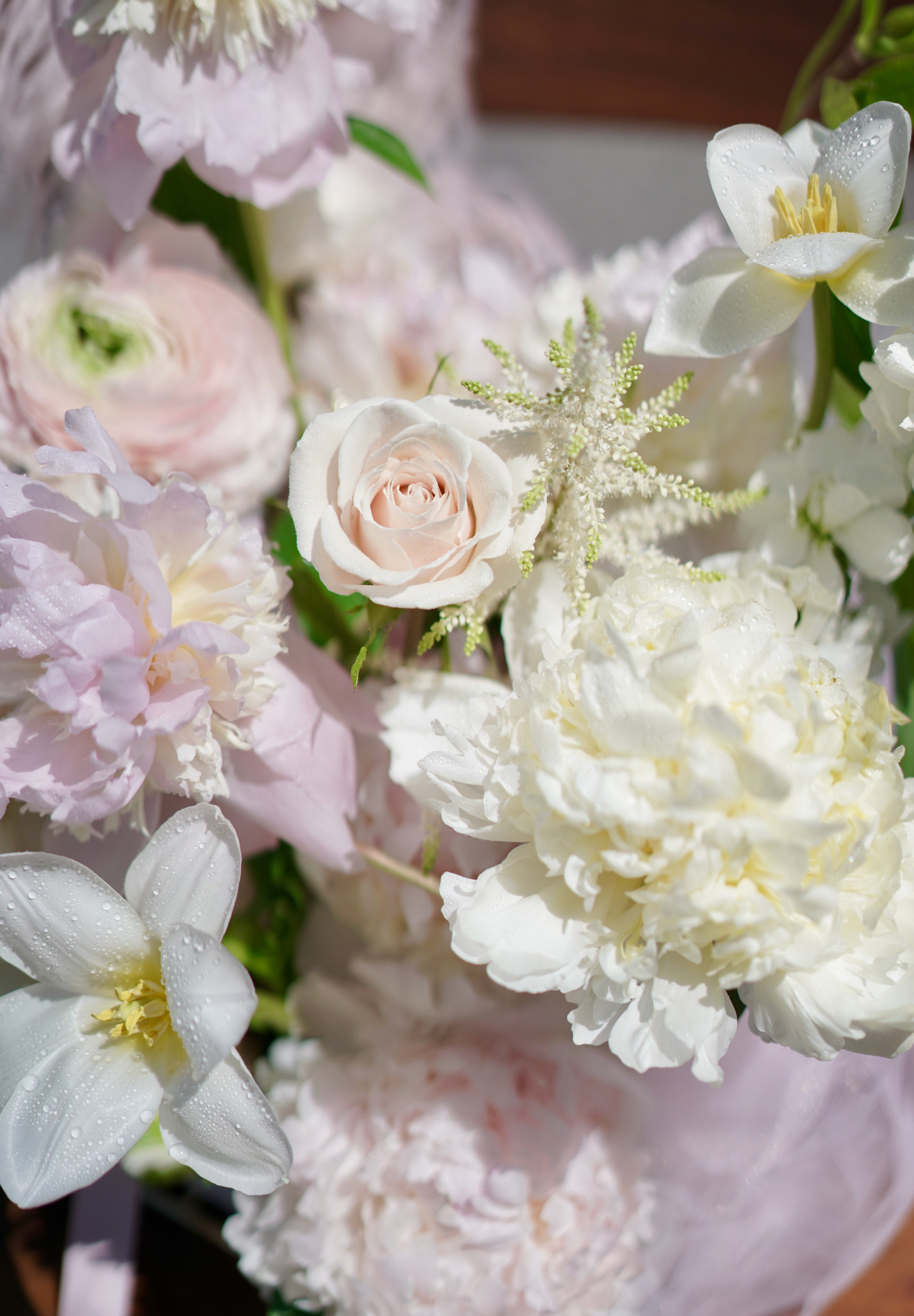Vernal Blooms 春日花海