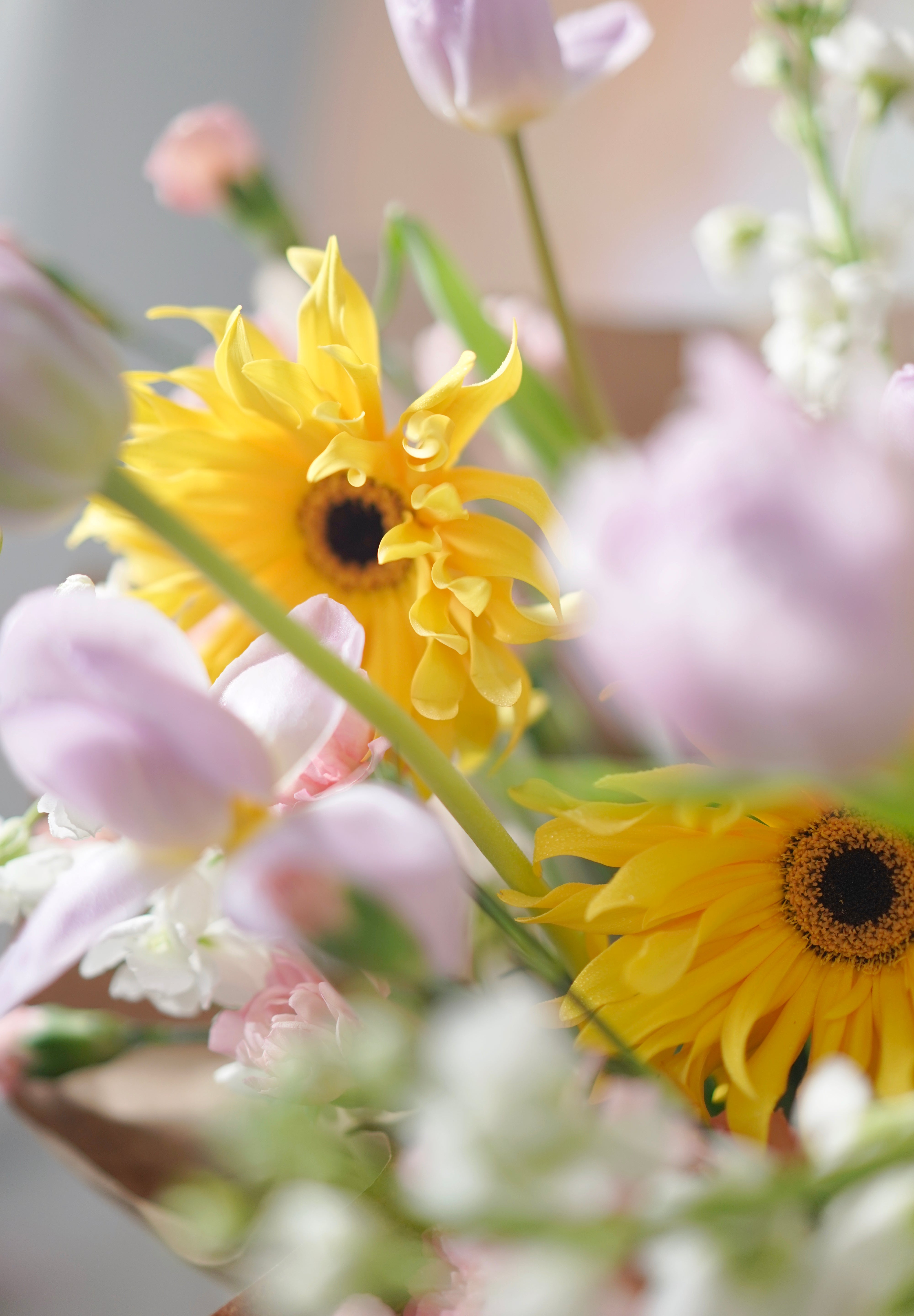 Golden Embrace-2025 Mother’s Day