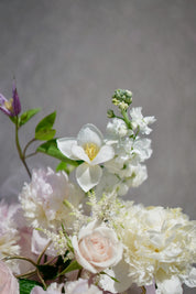 Vernal Blooms 春日花海