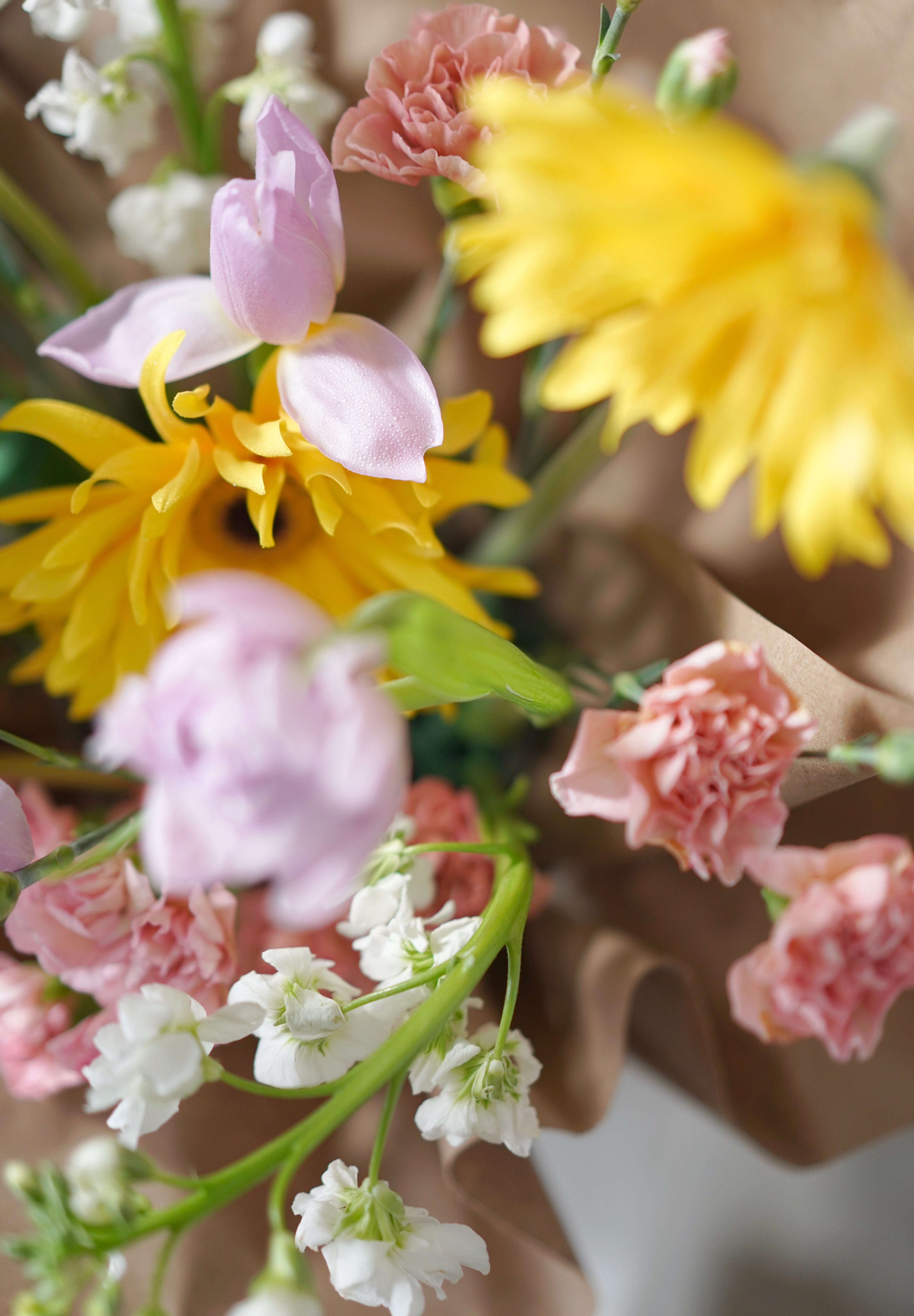 Golden Embrace-2025 Mother’s Day