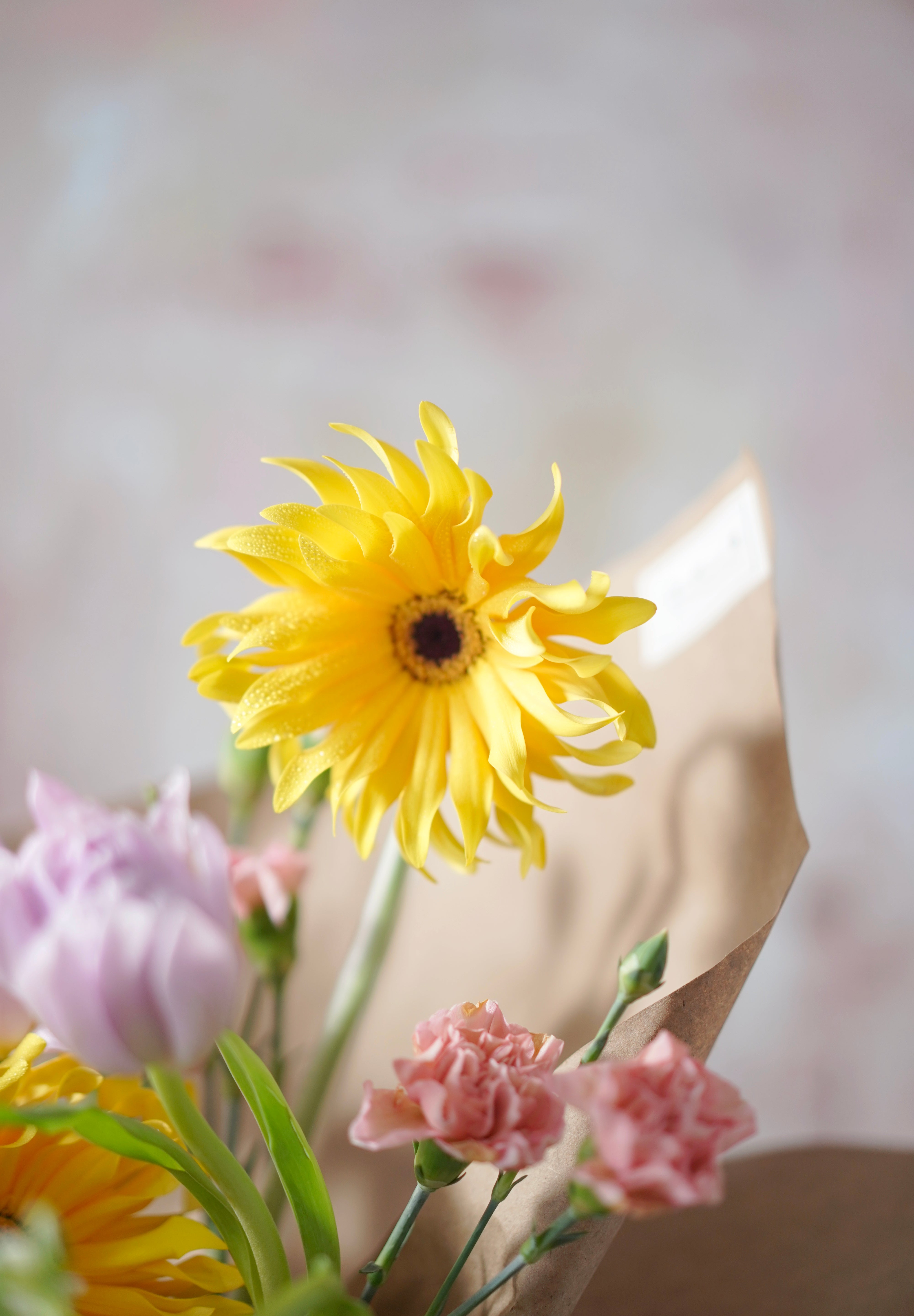 Golden Embrace-2025 Mother’s Day