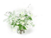 Alethea Flower Subscription (Vase)