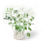 Alethea Flower Subscription One Time Purchase Trial