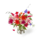 Alethea Flower Subscription (Vase)