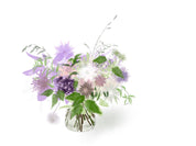 Alethea Flower Subscription One Time Purchase Trial