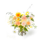 Alethea Flower Subscription (Vase)