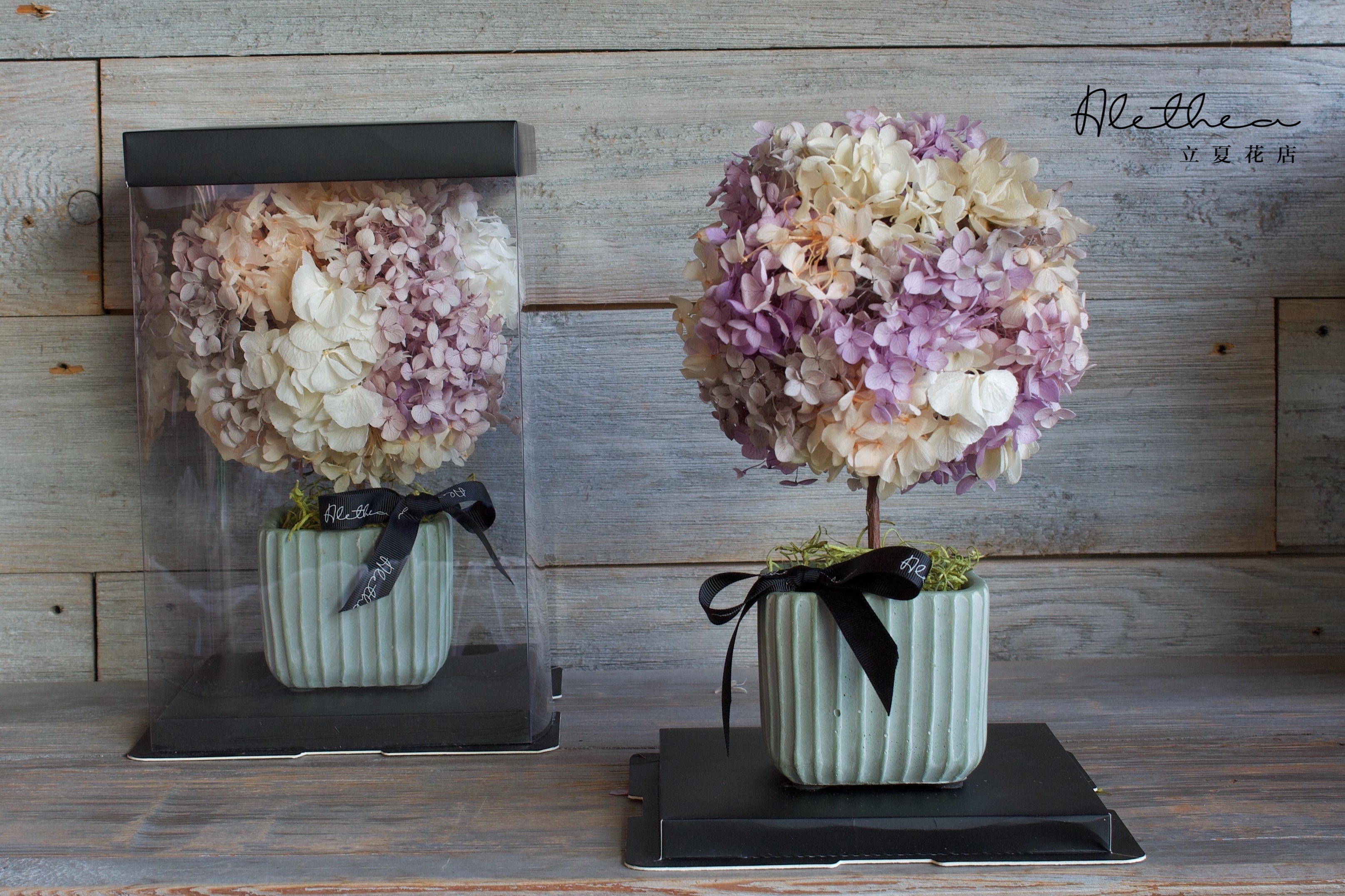 Potted Hydrangea - Lavender - Preserved Flower