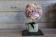 Potted Hydrangea - Lavender - Preserved Flower
