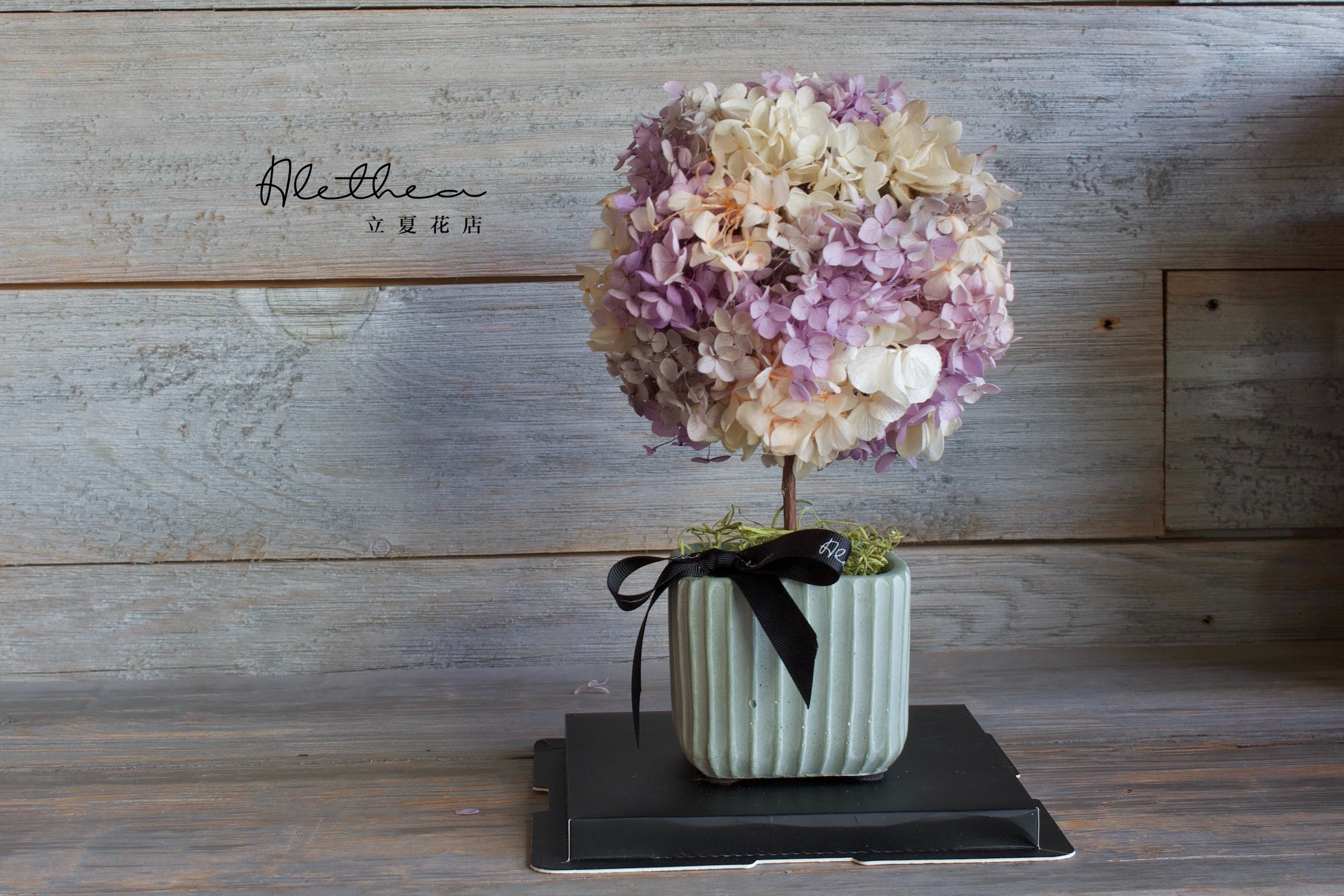 Potted Hydrangea - Lavender - Preserved Flower