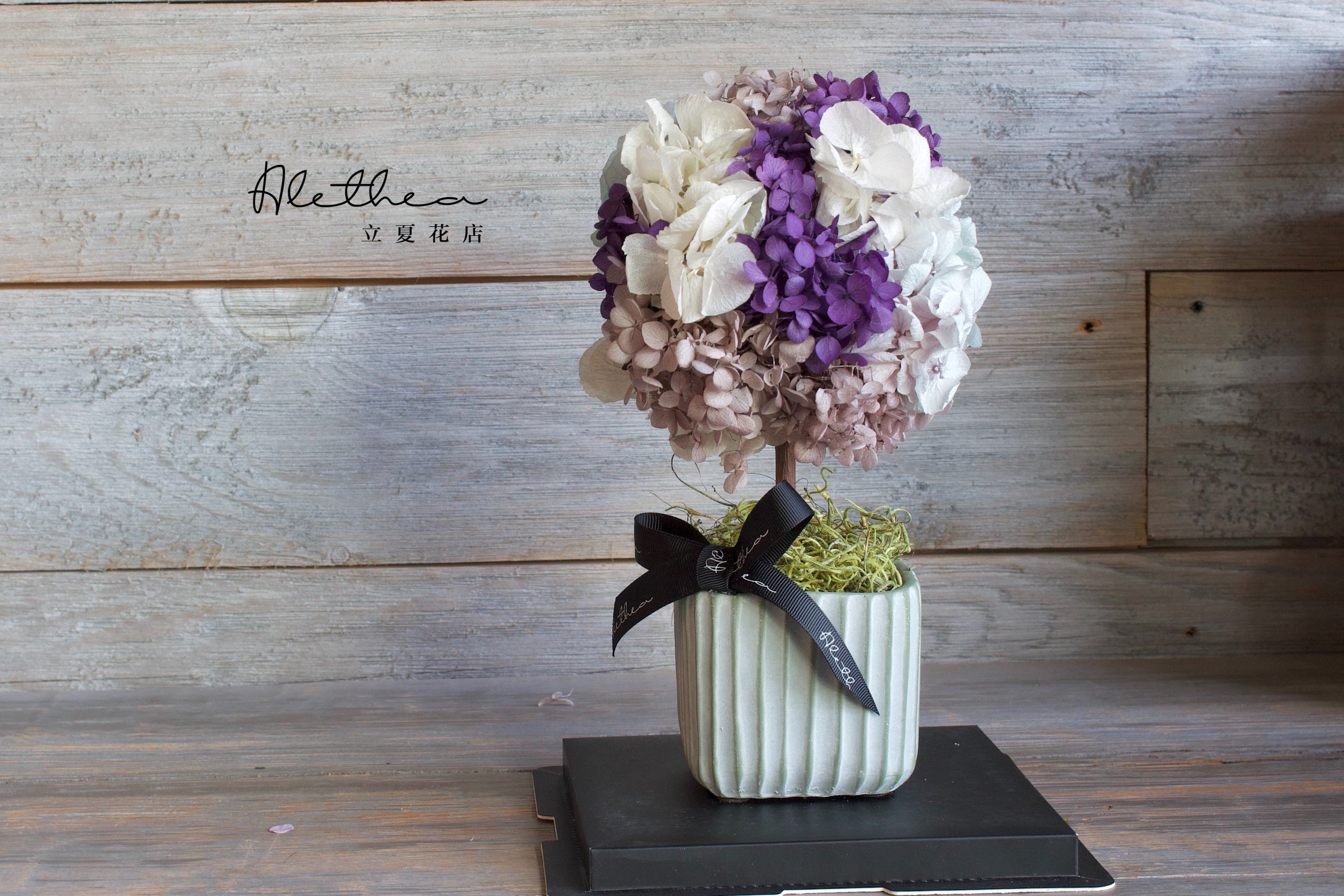 Potted Hydrangea - Purple - Preserved Flower