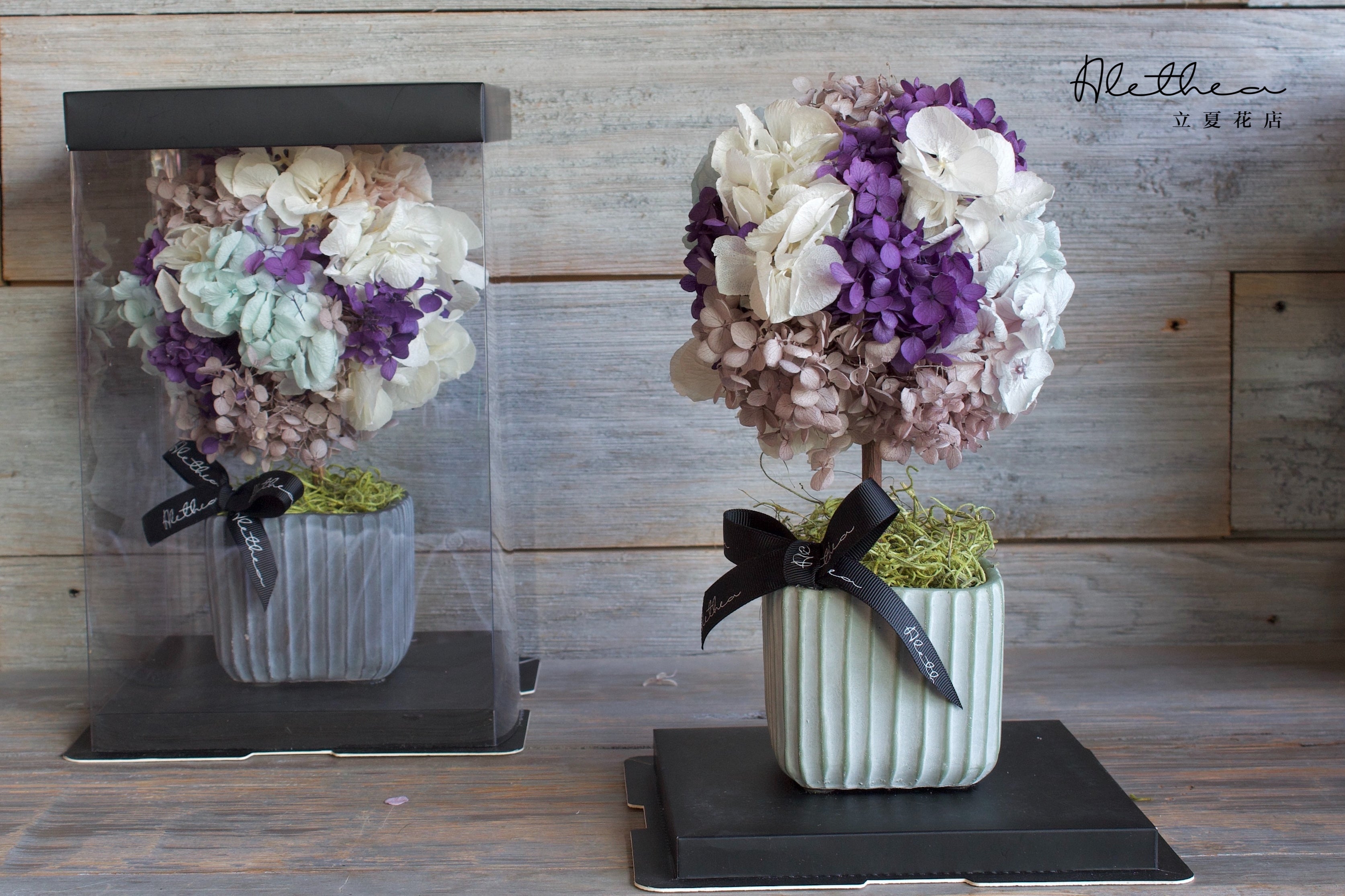 Potted Hydrangea - Purple - Preserved Flower