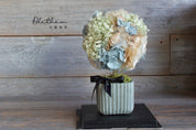 Potted Hydrangea - Baby Blue - Preserved Flower