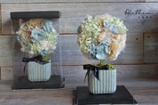 Potted Hydrangea - Baby Blue - Preserved Flower