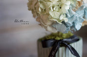 Potted Hydrangea - Baby Blue - Preserved Flower