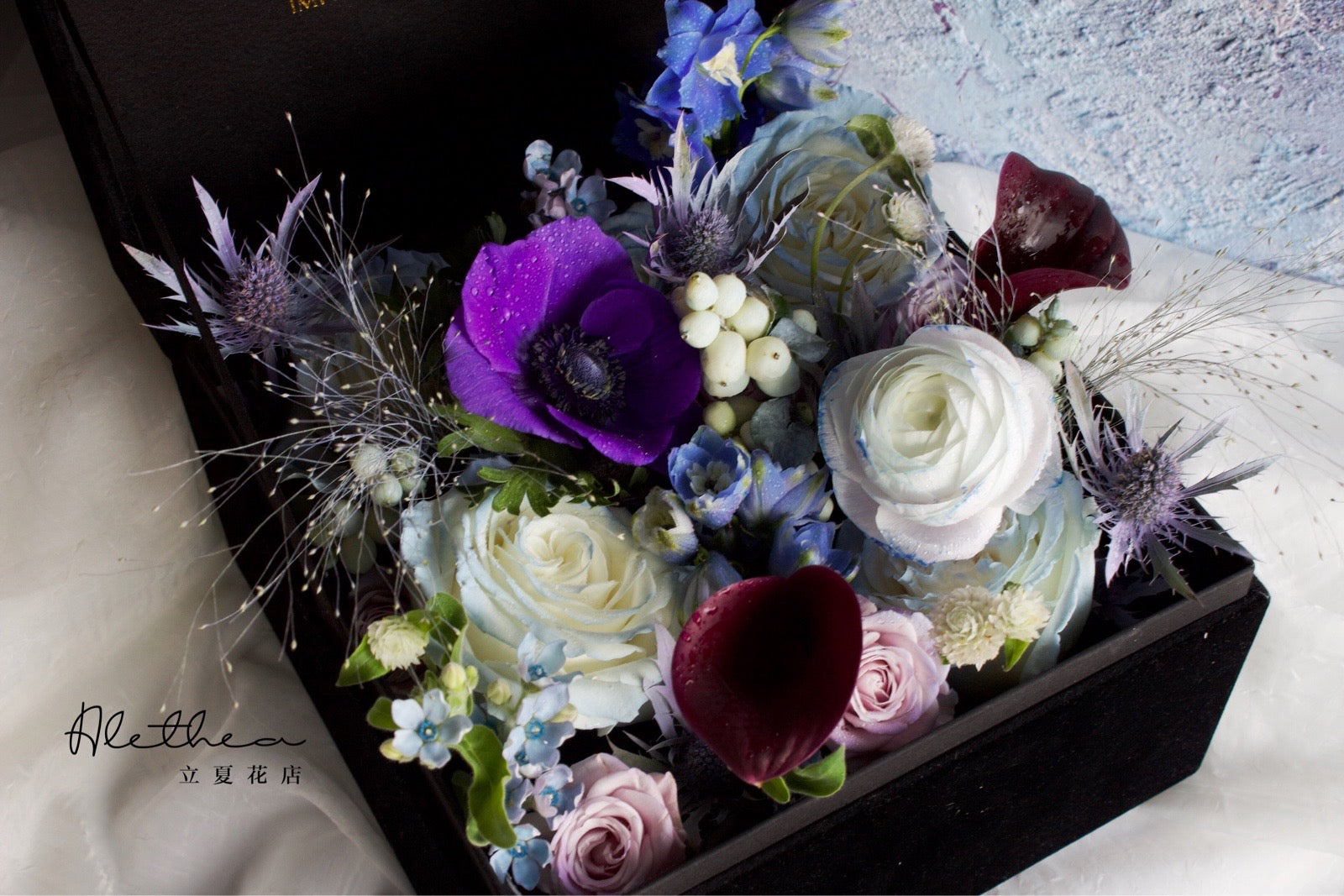 Alethea Libra Impression - Zodiac Sign