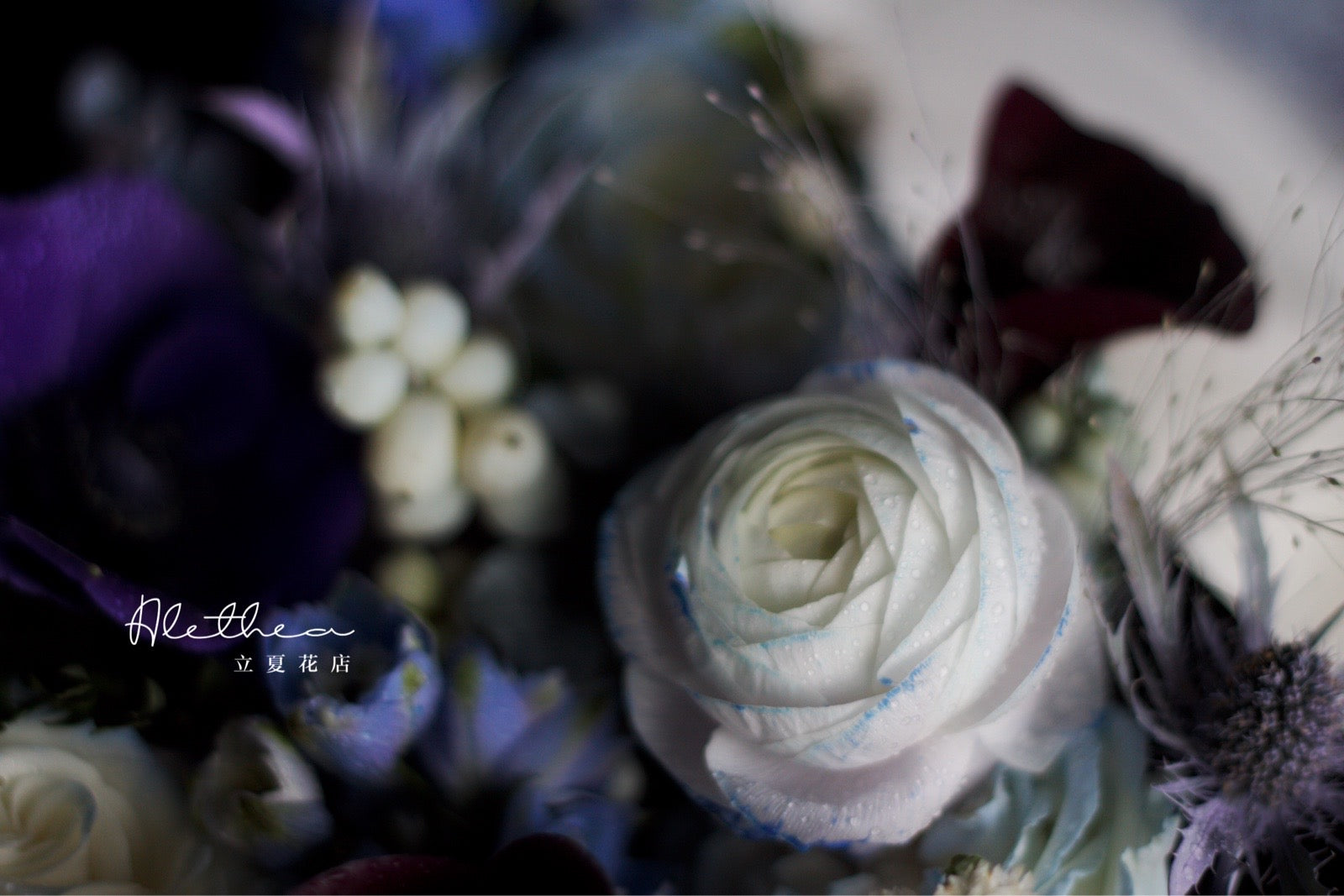 Alethea Libra Impression - Zodiac Sign