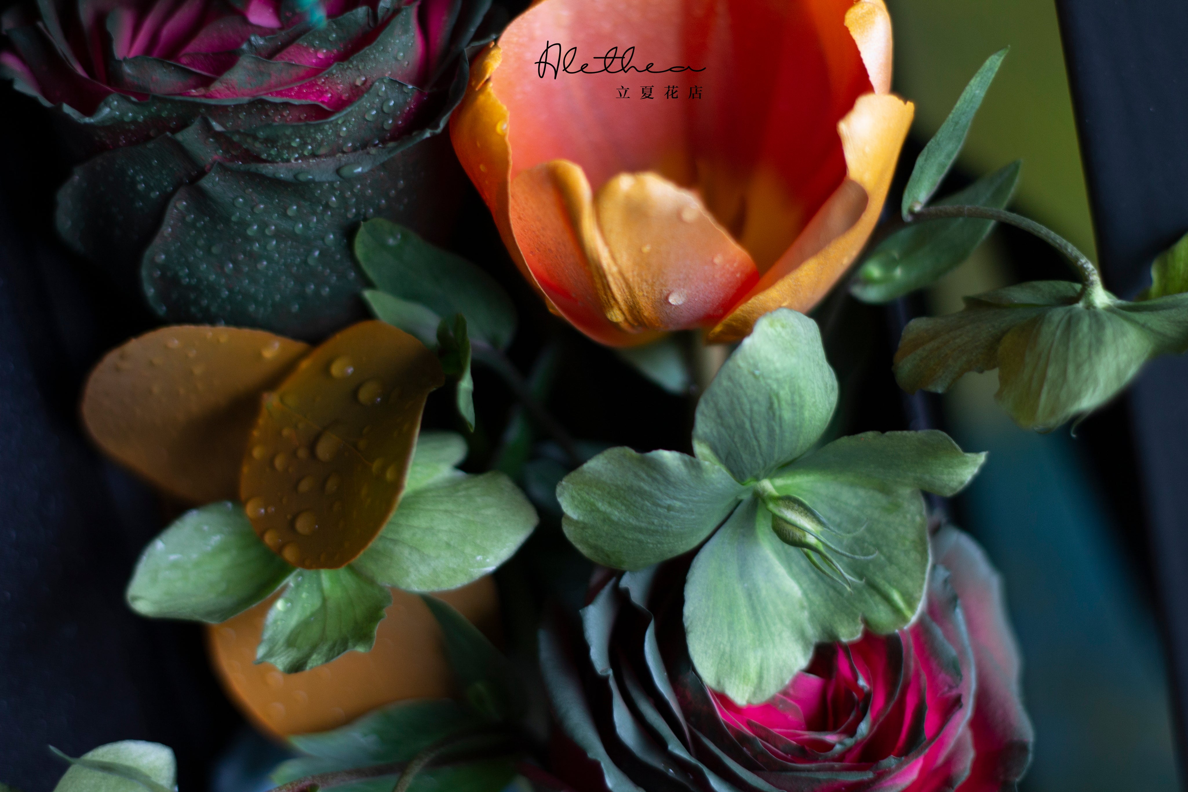 Alethea Taurus Urban Bouquet - Zodiac Sign