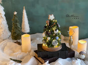 Glass House Christmas Tree