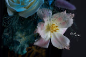 Alethea Aquarius Impression - Zodiac Sign