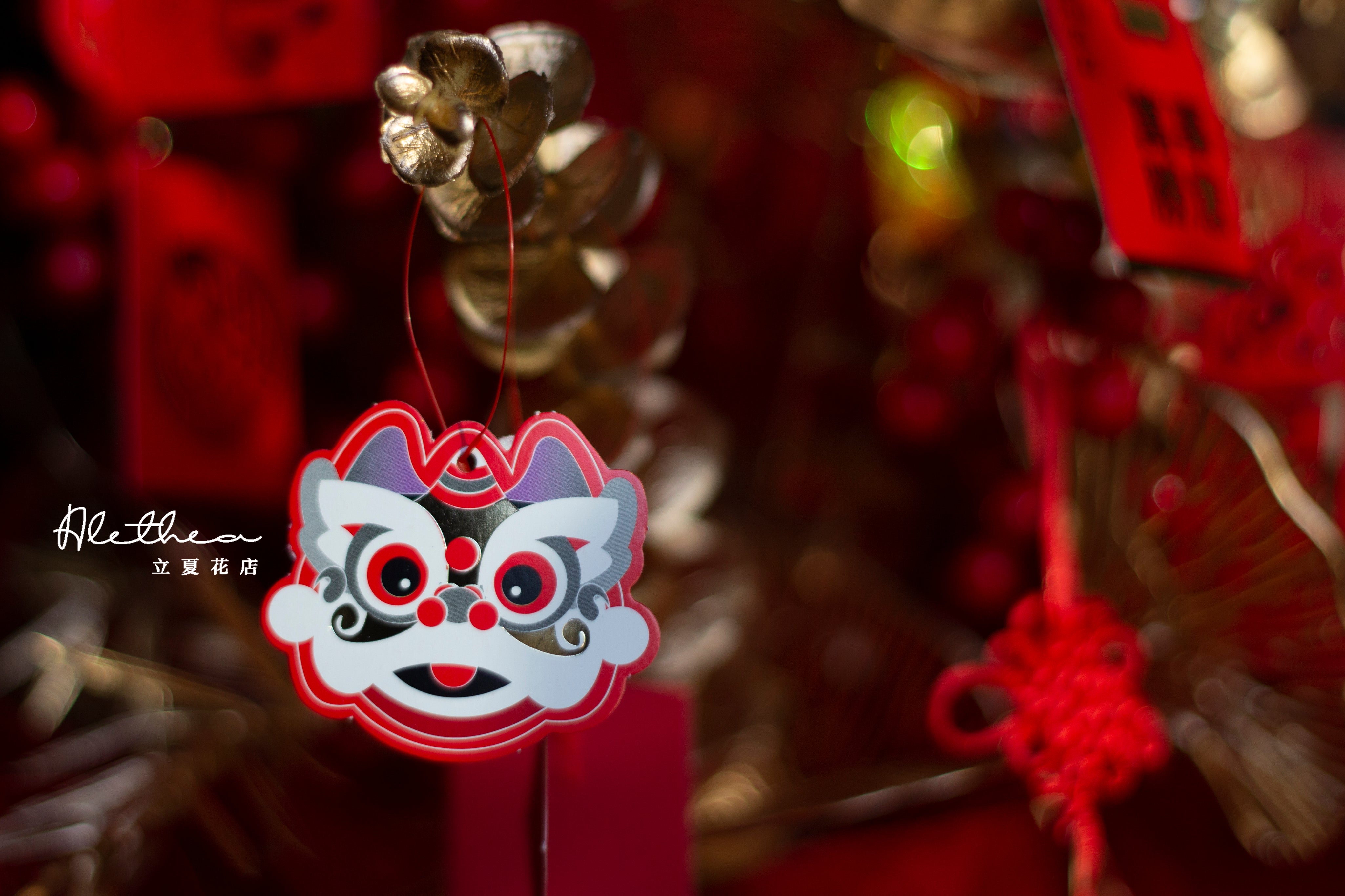 May Wealth Flow In - Chinese Lunar New Year