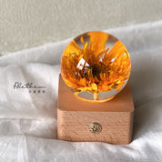 Sunflower Night Light - Preserved Flower