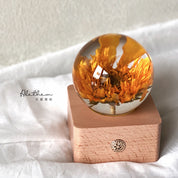 Sunflower Night Light - Preserved Flower