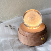 Dandelion Crystal Ball - Preserved Flower