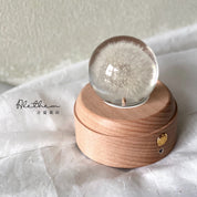 Dandelion Crystal Ball - Preserved Flower