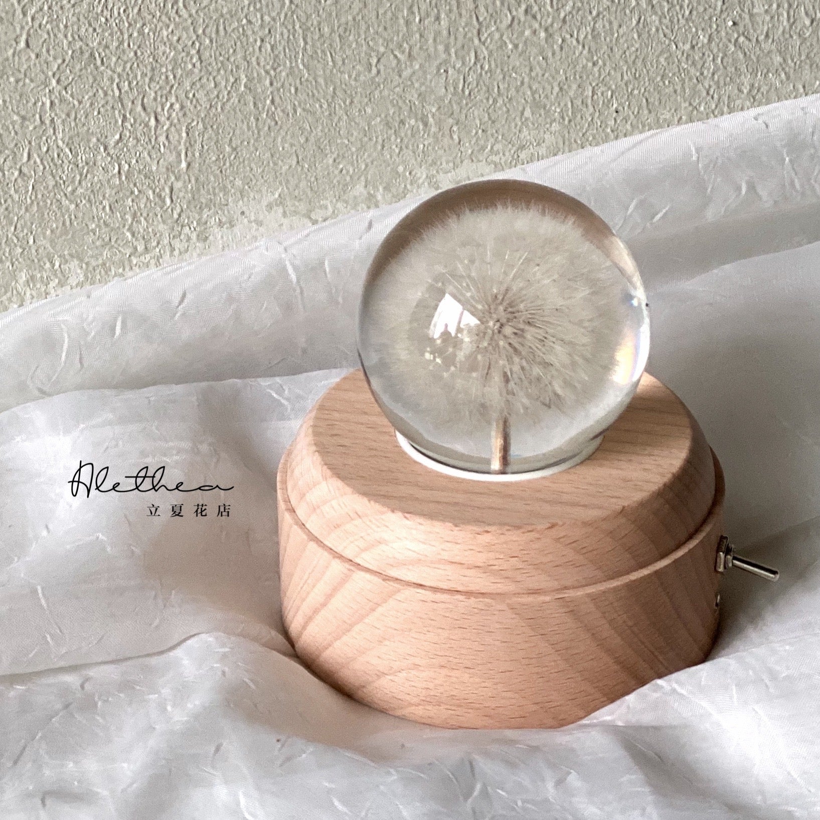 Dandelion Crystal Ball - Preserved Flower