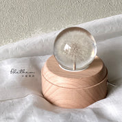 Dandelion Crystal Ball - Preserved Flower