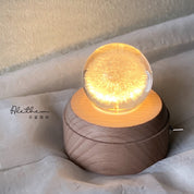 Dandelion Crystal Ball - Preserved Flower