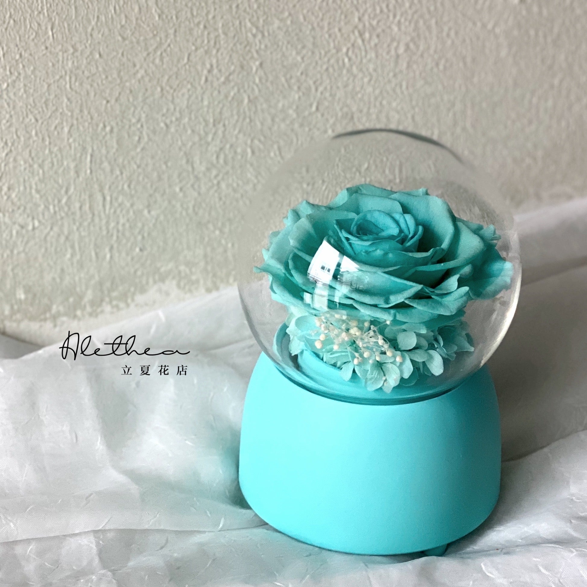 Preserved Rose Music Box - Preserved Flower