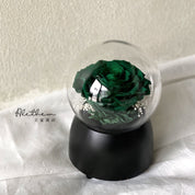 Preserved Rose Music Box - Preserved Flower