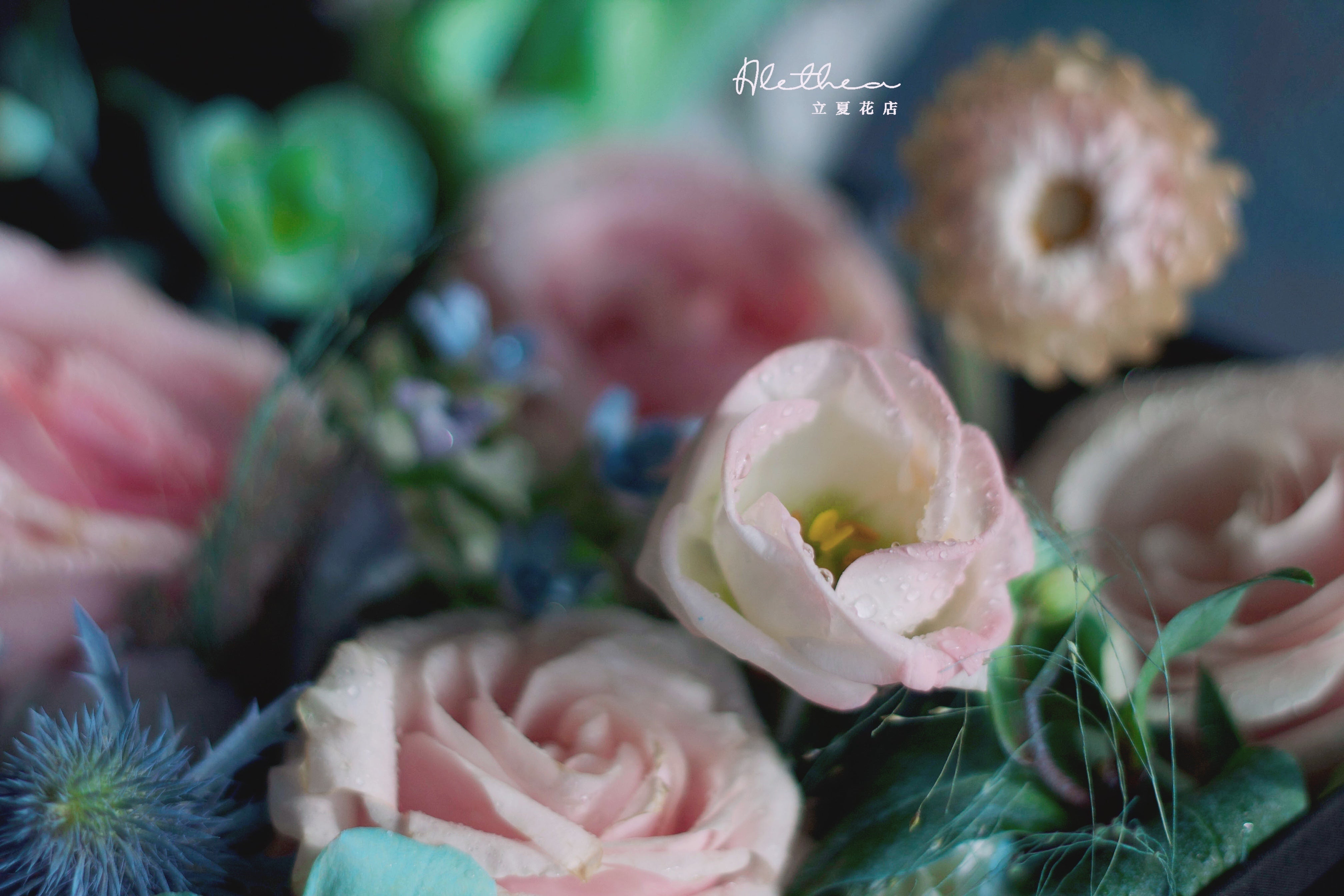 Alethea Pisces Impression - Zodiac Sign