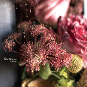 Alethea Leo Impression - Zodiac Sign