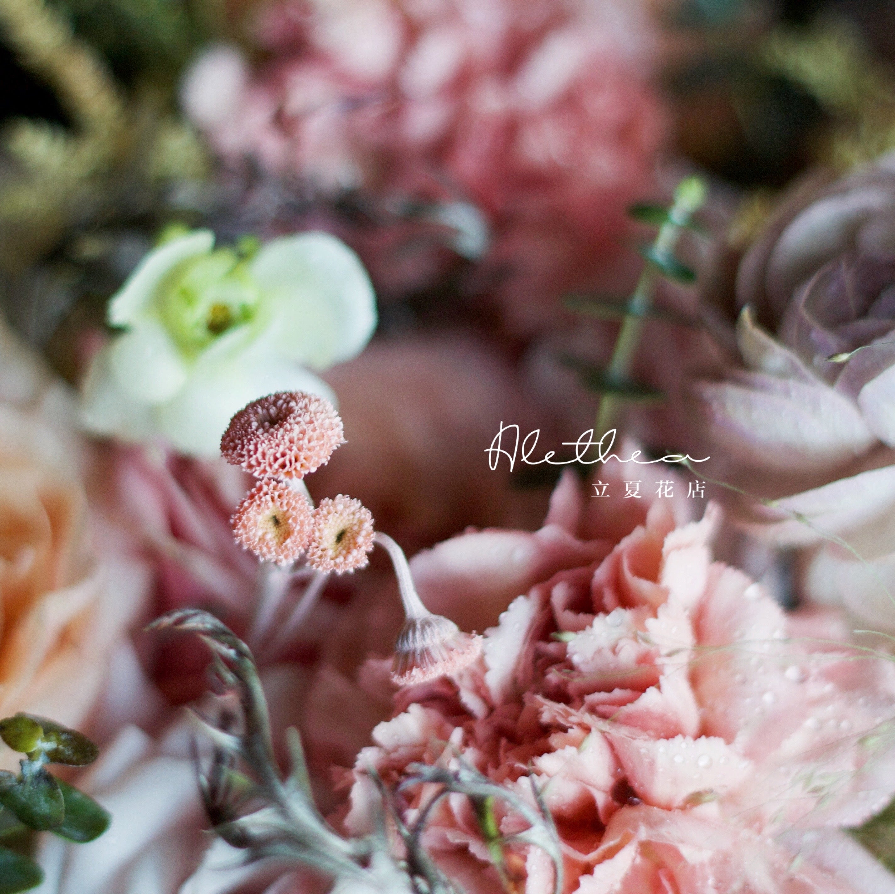 Alethea Cancer Impression - Zodiac Sign
