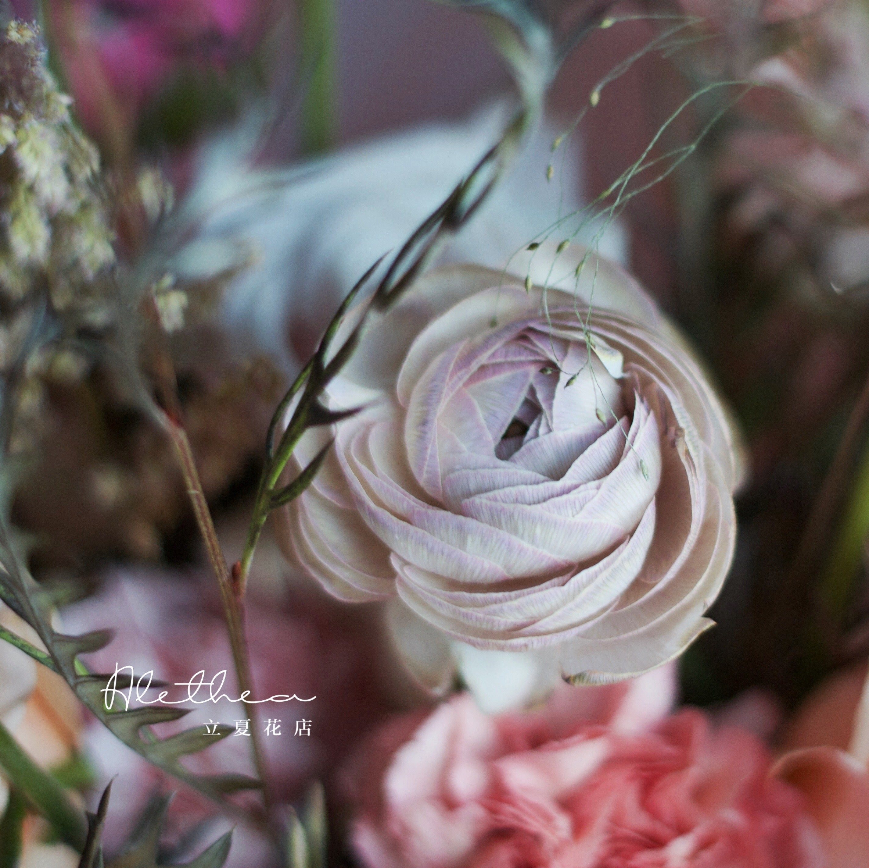 Alethea Cancer Urban Bouquet - Zodiac Sign