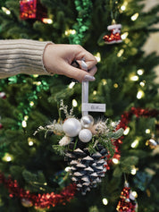 Pine Cone Diffuser - Christmas