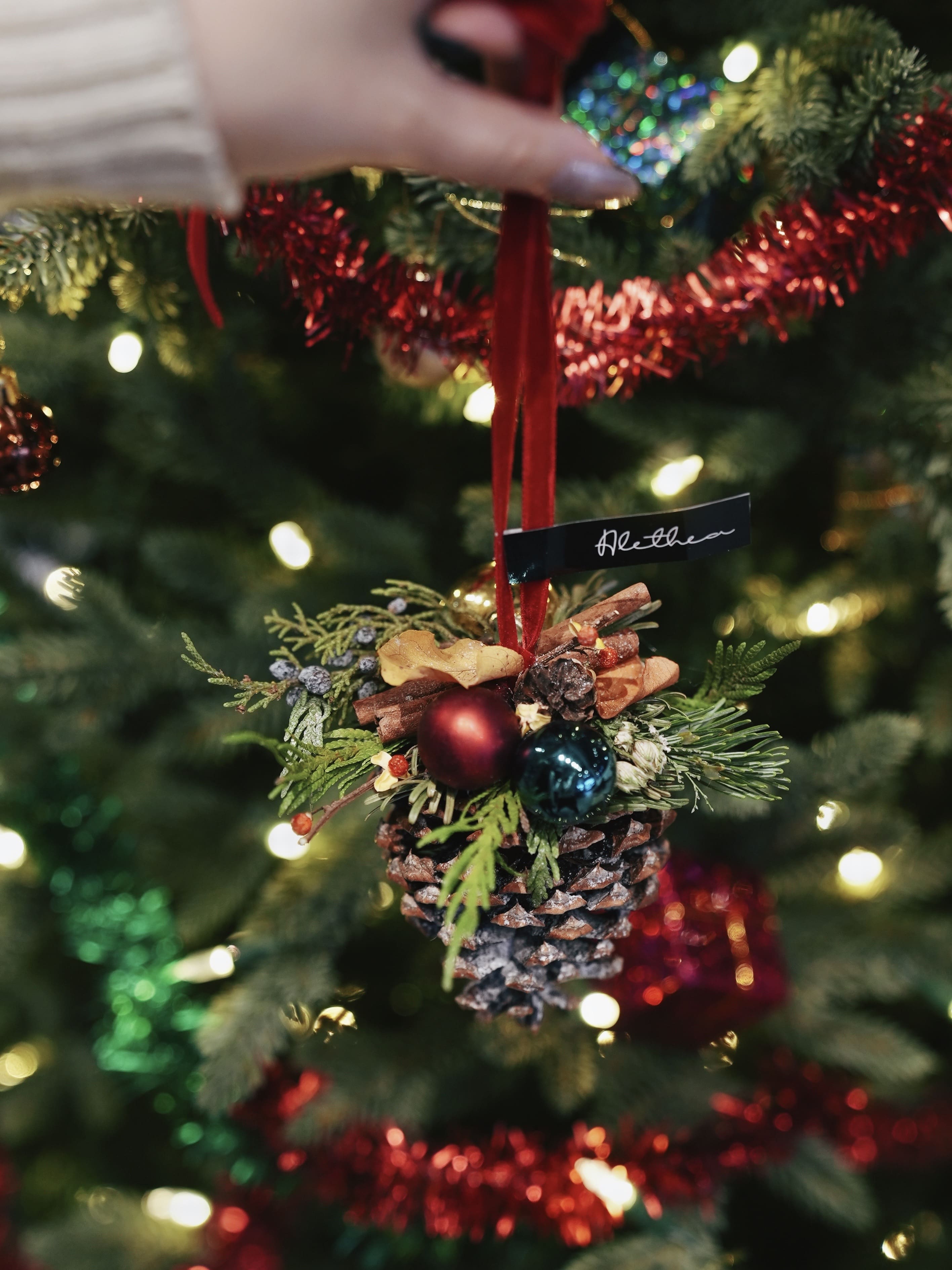 Pine Cone Diffuser - Christmas
