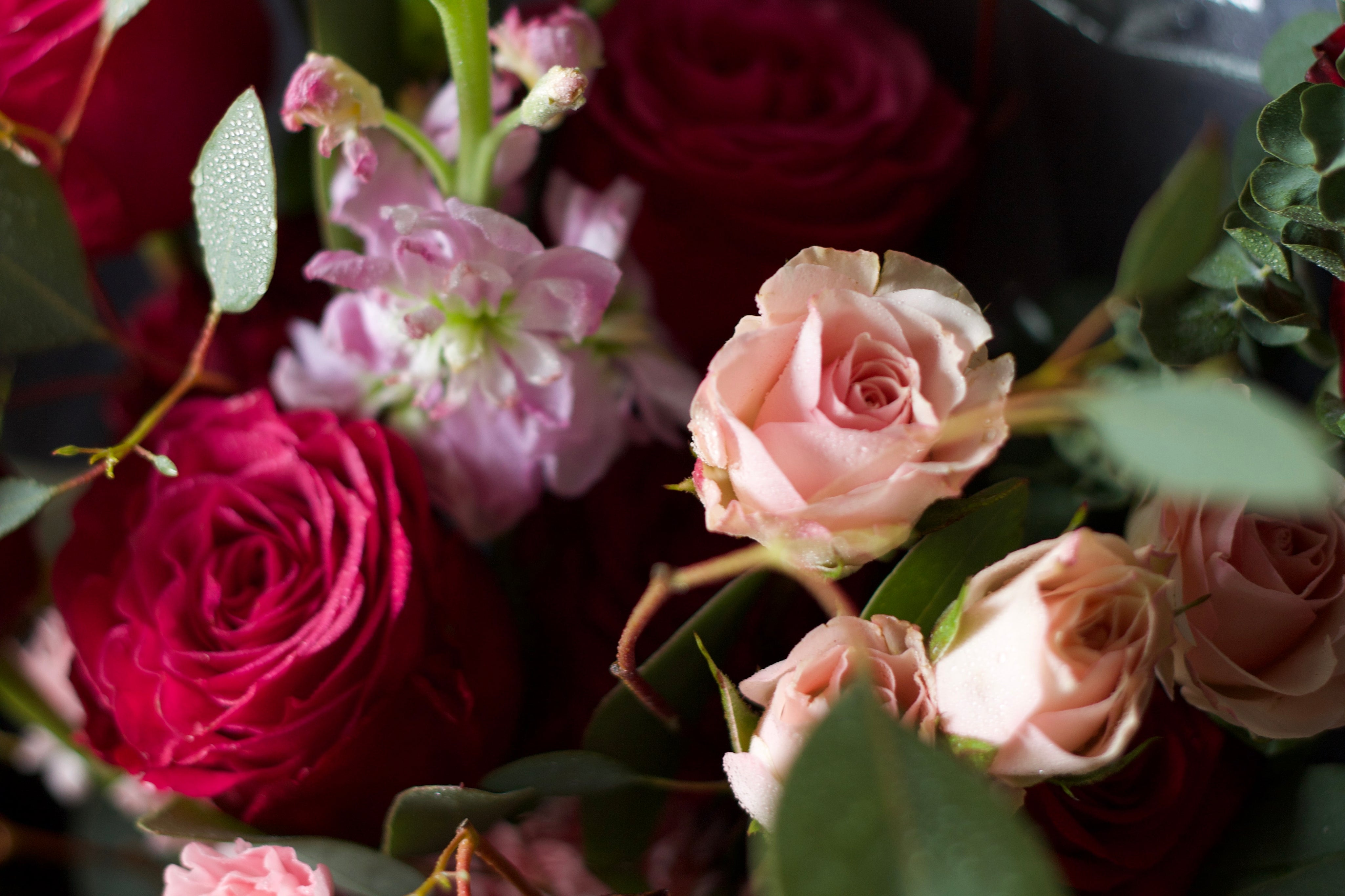Alethea Graduation Bouquet - Red Tone