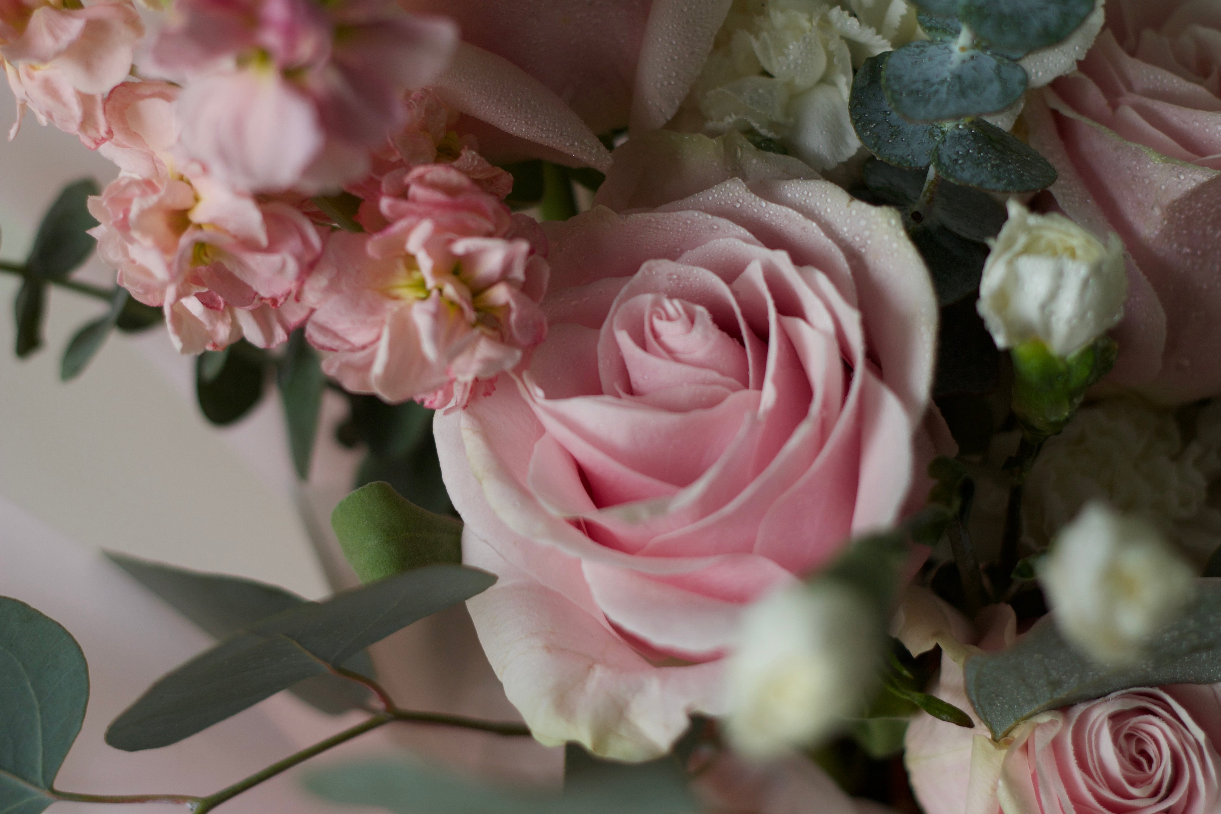 Alethea Graduation Bouquet - Pink Tone