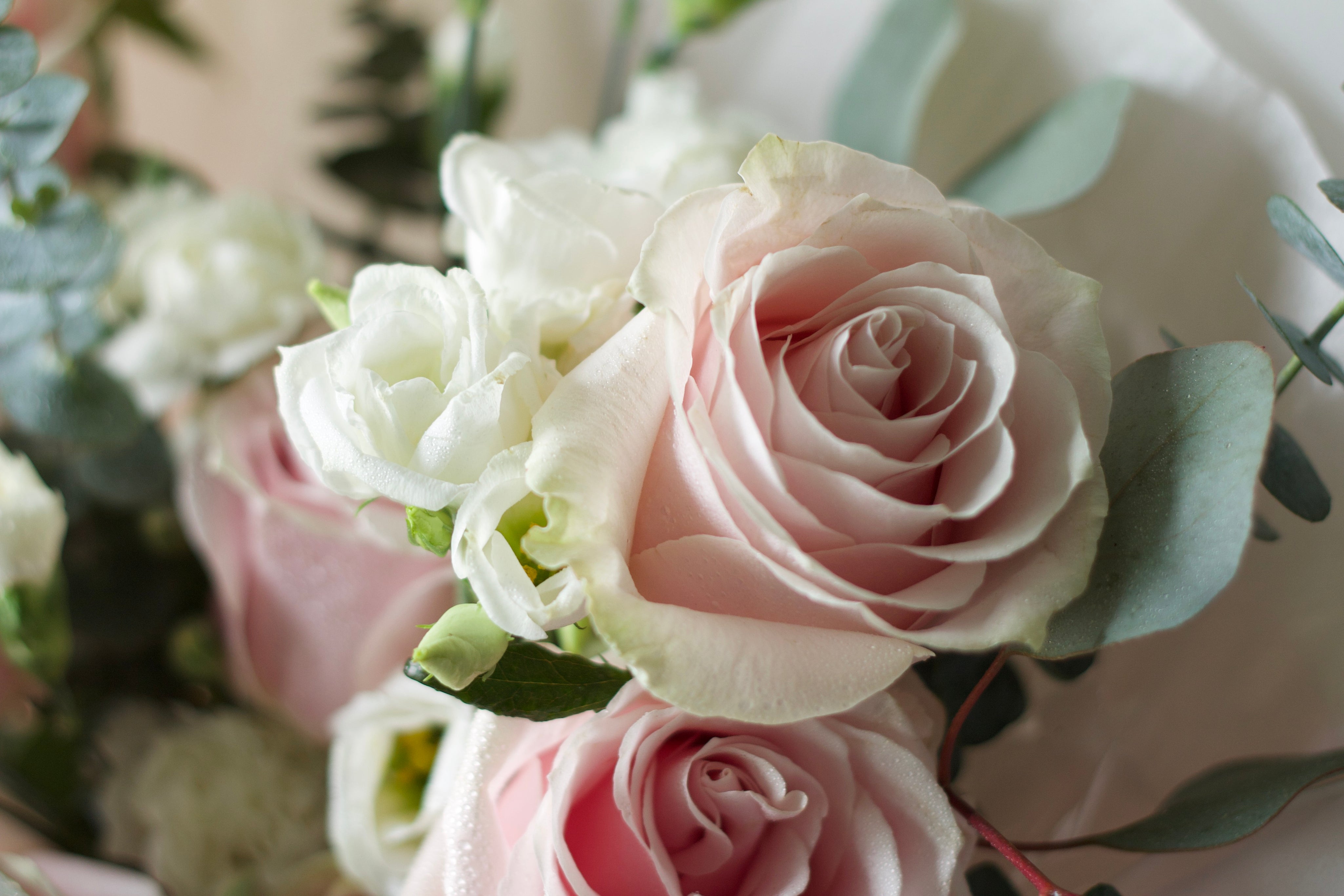 Alethea Graduation Bouquet - Pink Tone