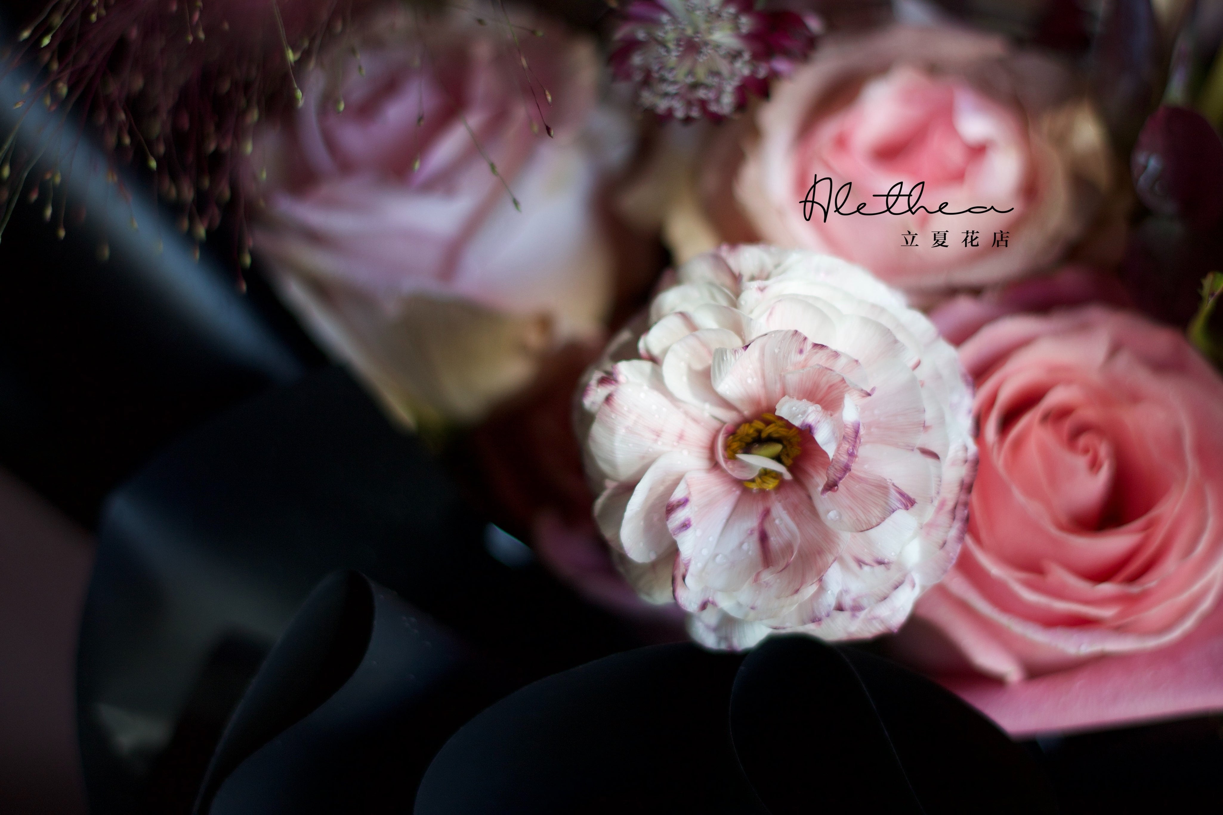 Alethea Scorpio Urban Bouquet - Zodiac Sign