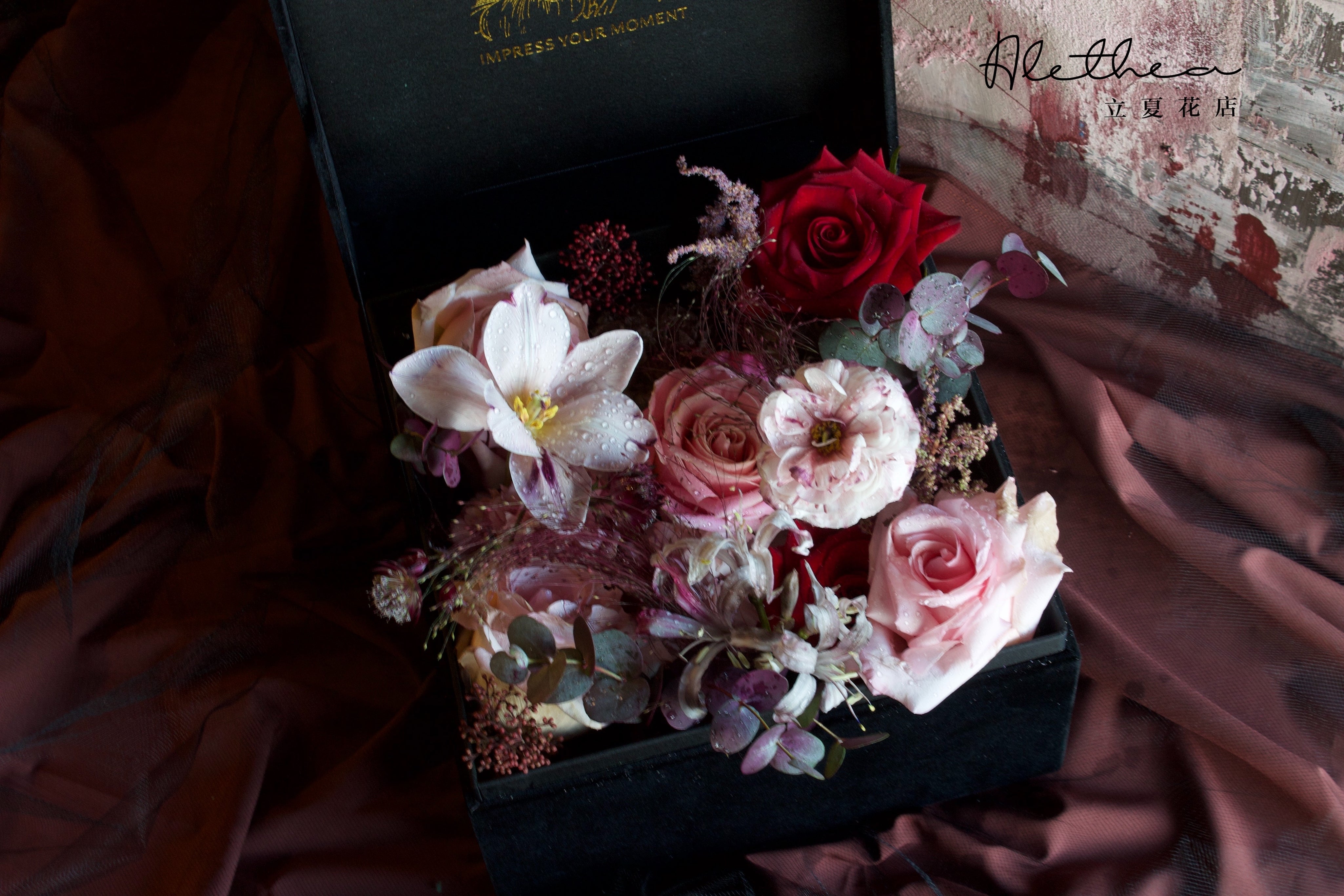 Alethea Scorpio Impression - Zodiac Sign